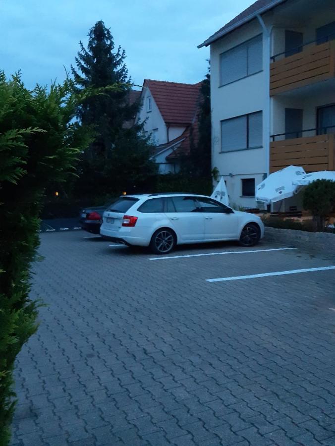 Landgasthof Rose Hotel Дитцинген Екстериор снимка