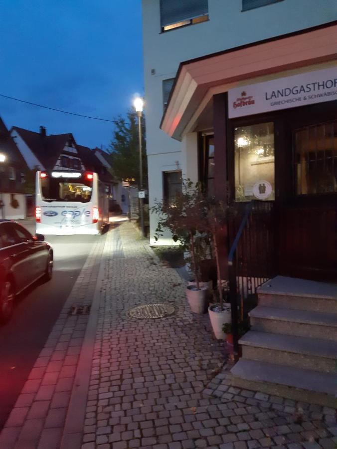 Landgasthof Rose Hotel Дитцинген Екстериор снимка